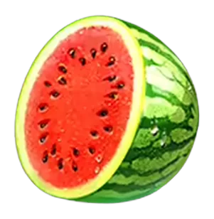 Watermelon fruit symbol icon
